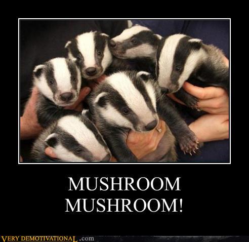 MUSHROOM MUSHROOM!