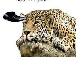 Deaf Leopard